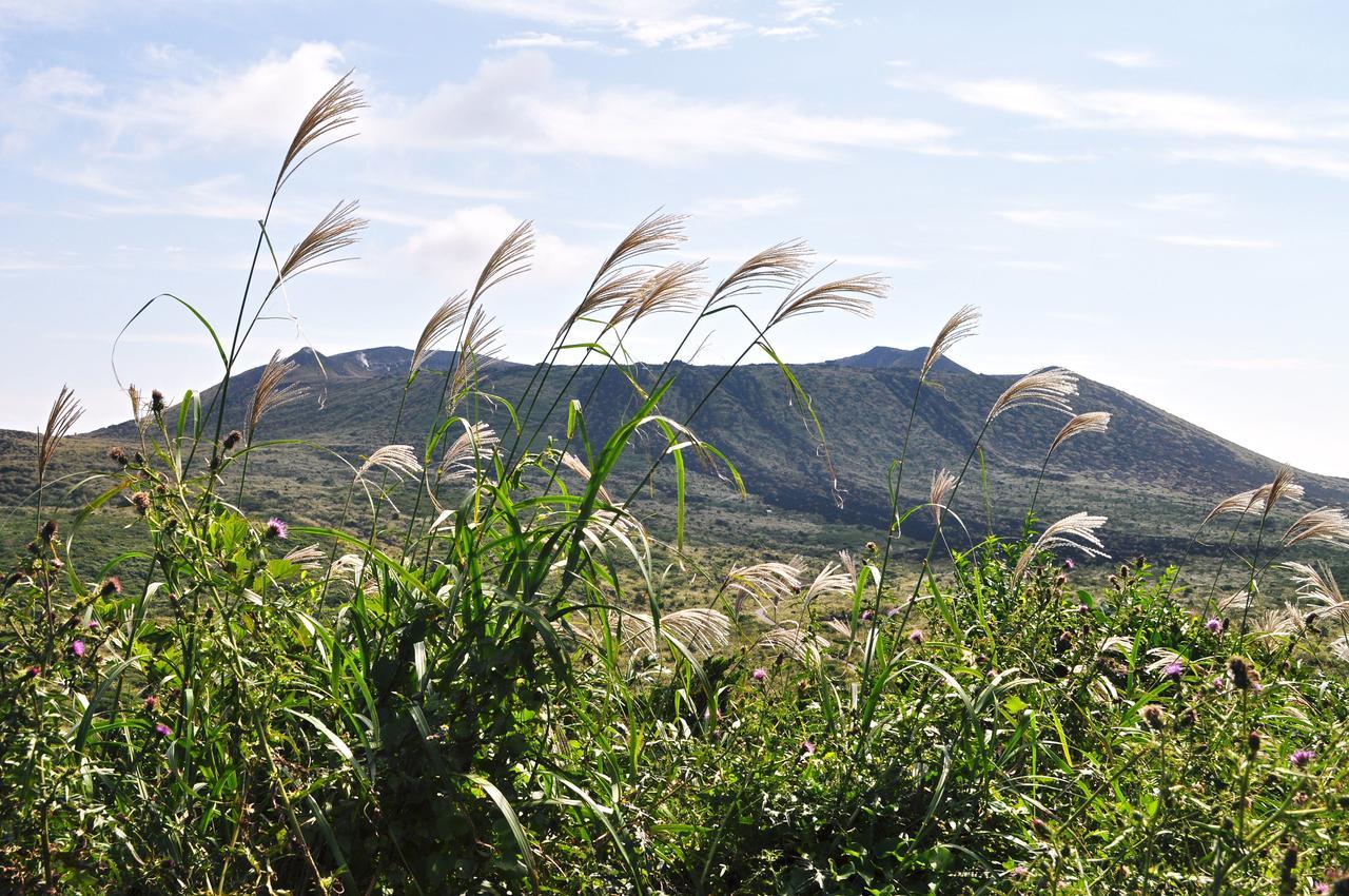 ホライゾン Villa Oshima Buitenkant foto