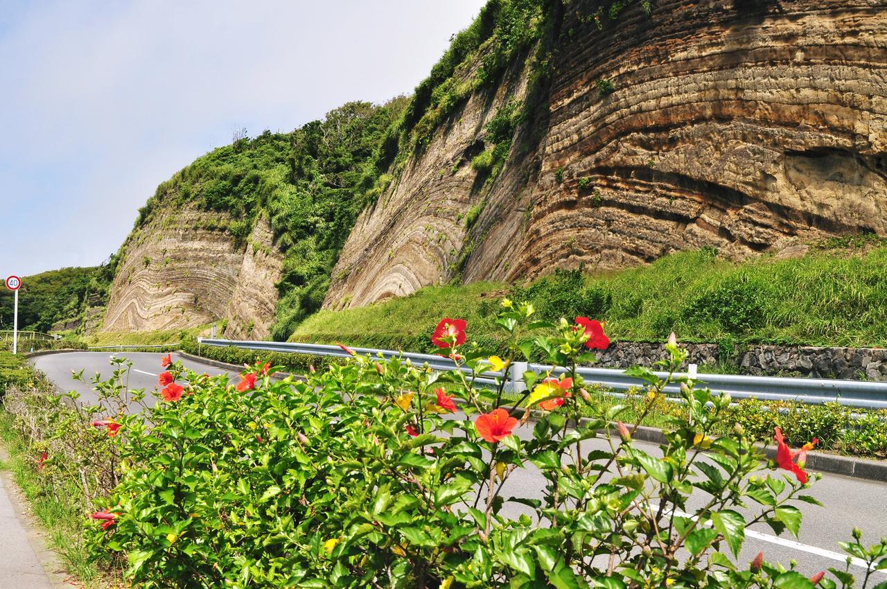ホライゾン Villa Oshima Buitenkant foto