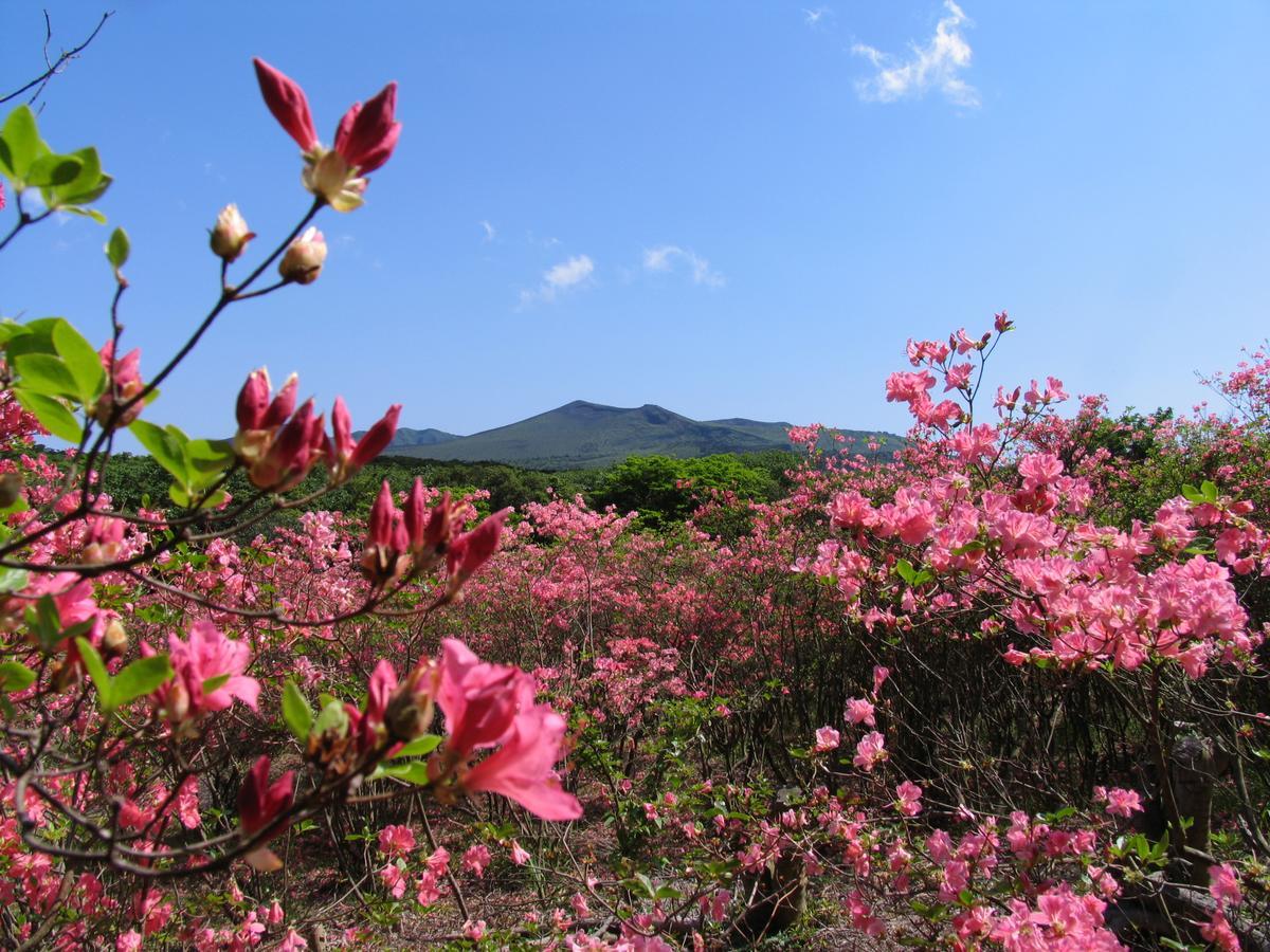 ホライゾン Villa Oshima Buitenkant foto